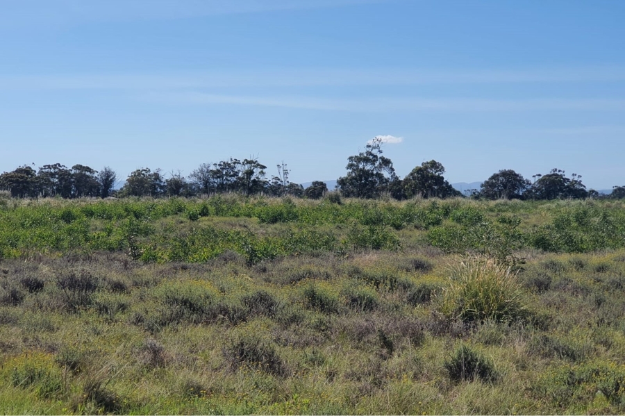 0 Bedroom Property for Sale in Greenbushes Industrial Park Eastern Cape